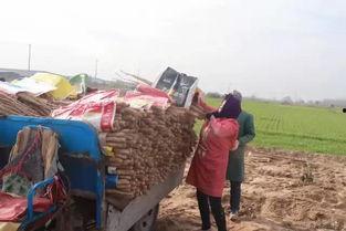 丰县最新爆料信息网,揭秘事件背后真相